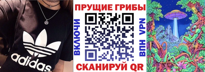 Псилоцибиновые грибы Magic Shrooms  гидра ONION  Зеленодольск  купить наркотики цена 