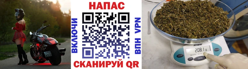 Конопля Bruce Banner  Зеленодольск 